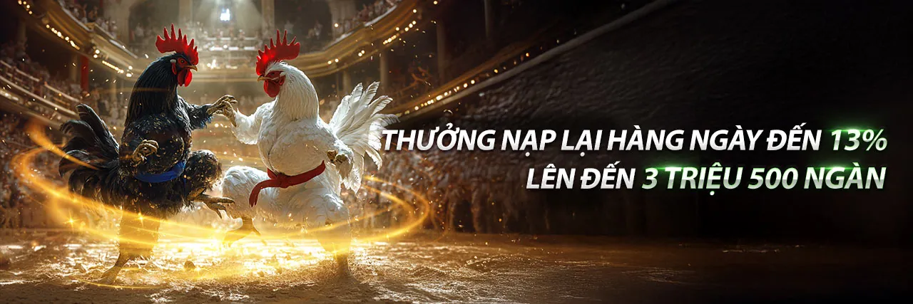 Phân tích chiến thuật gà chọi co88 casino