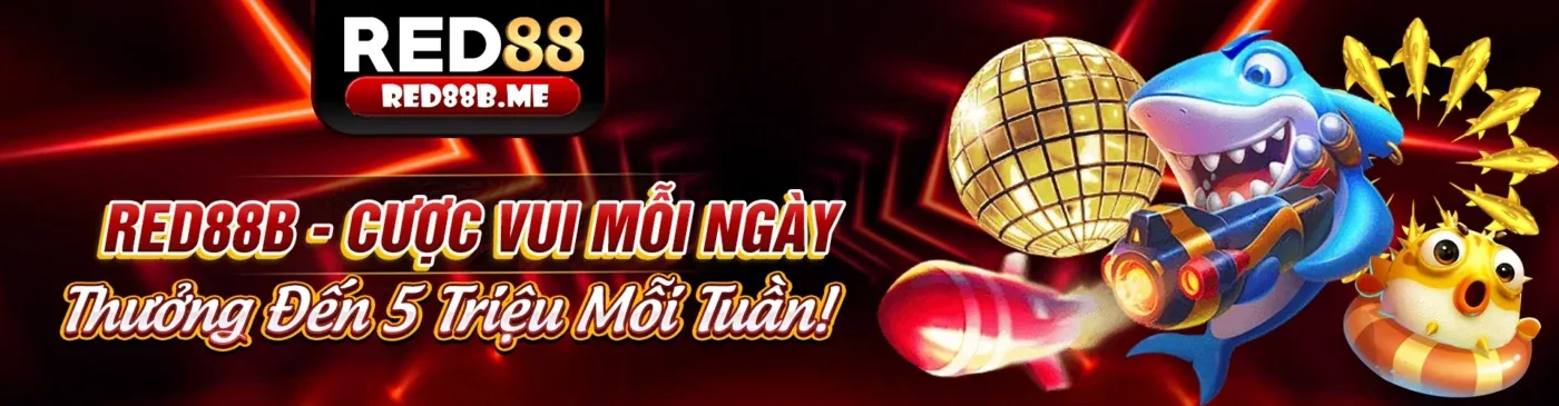 Cá cược có trách nhiệm tại co88 casino